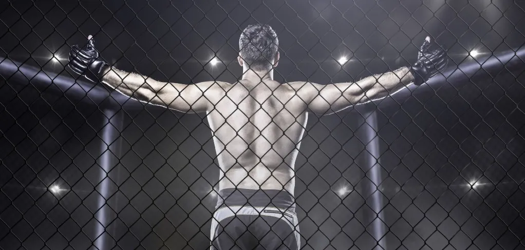 Перспективные бойцы MMA 2025: кто может ворваться в топ