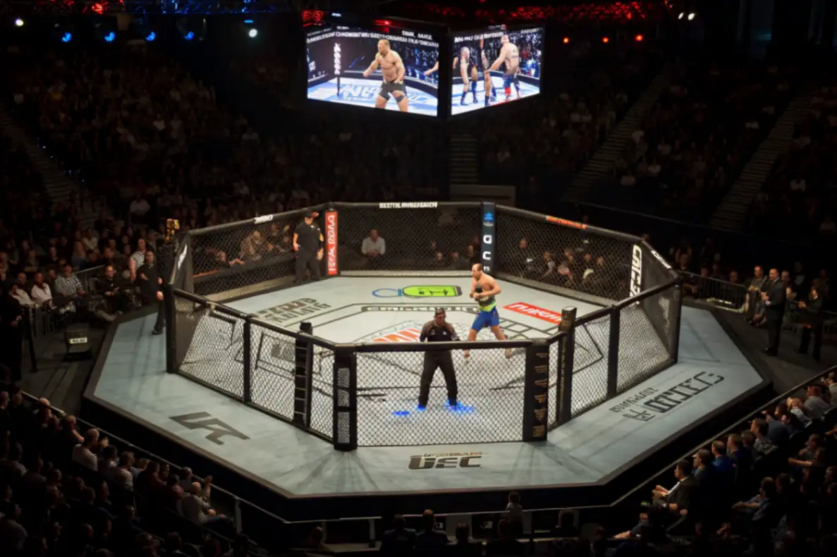 Актуальные прогнозы на UFC 2026, анализ боёв, движение коэффициентов, ставки на фаворитов и андердогов, аналитика и стратегия беттинга.